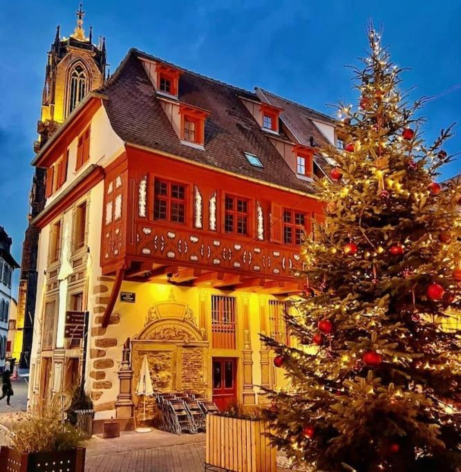 Apartment Le Petit Bali Selestat