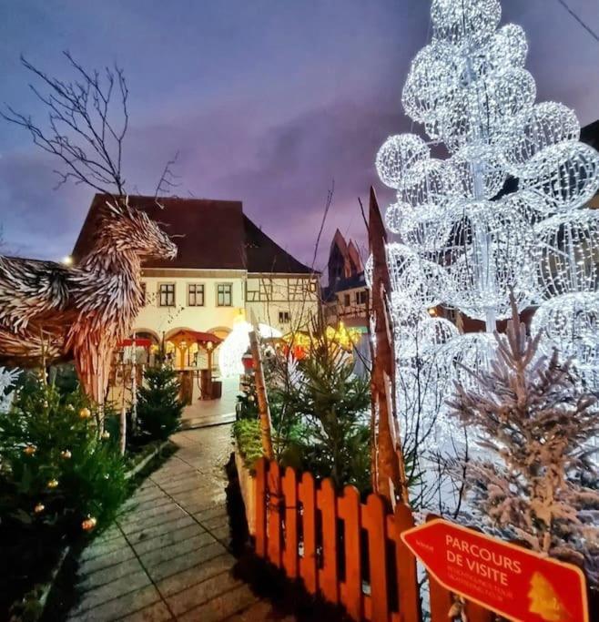 Apartment Le Petit Bali Selestat